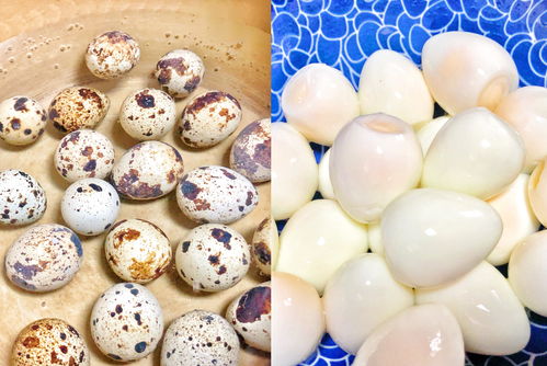 1个番茄，2勺番茄酱，教你做酸甜味美的茄汁虎皮鹌鹑蛋，零失误休闲食品